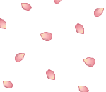 Falling Pink Petals