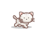 Sprightly Kitty Cat