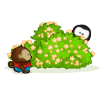 Plushies Playing Hide and Seek