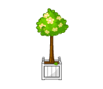 Cutie Sunshine Topiary