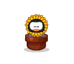 Little Sunflower Penguin