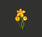 Dancing Mystic Flowers