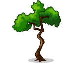 Tall Lion Temple Tree