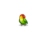 Cute Lion Temple Bird