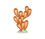 Atlantean Orange Coral