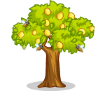 Lemon Tree with Bumble Bees