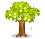 White Flower Tree with Bumble Bees