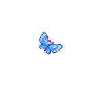 Blue Winged Butterfly
