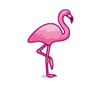 Resting Flamingo