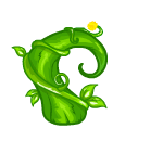 Spiraly Beanstalk Top