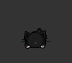 Witchs Little Black Cat