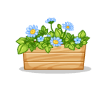 Sapphire Daisies Planter
