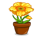 Thumbelinas Yellow Flower