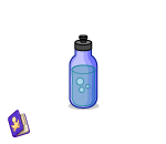 Ballet Water Bottle