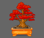 Miniature Oak Bonsai