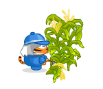 Country Corn Harvester