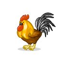 The First Prize Rooster