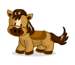 Jack the Pony Ride Stallion