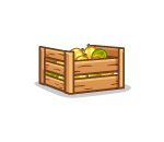 Countys Finest Squash