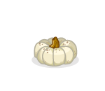 Autumn White Pumpkin