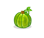 Autumn Green Pumpkin