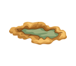 Muddy Puddle on the Prairie