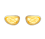 Sweet Honey Bee Wings