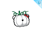 Halloween Puppy Pumpkin