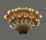 Shimmering Turkey Tail Feathers