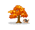 Pesky Squirrel vs Loyal Puppy