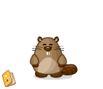 Ravenous Oregon Beaver