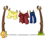 Cleanly Washed Clothes