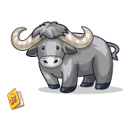 Buff Buffalo