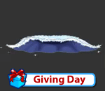 Snowflake Princesss Cape