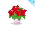 Pot of Poinsettia