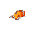 Silver Ribbon Orange Box