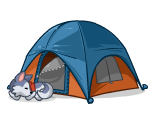 Dog Sled Team Tent