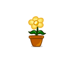 Basic Potted Daisy