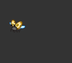 Golden Coccinellidae