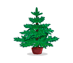 Potted Christmas Sapling