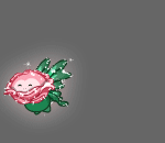 the Winter Rose Fairy