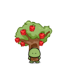 Turtle Apple Tree