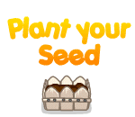 Countryside Garden Planter Set