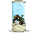 The Captains Fish Aquarium