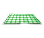 Green Picnic Blanket