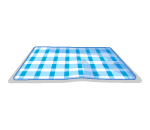 Blue Picnic Blanket